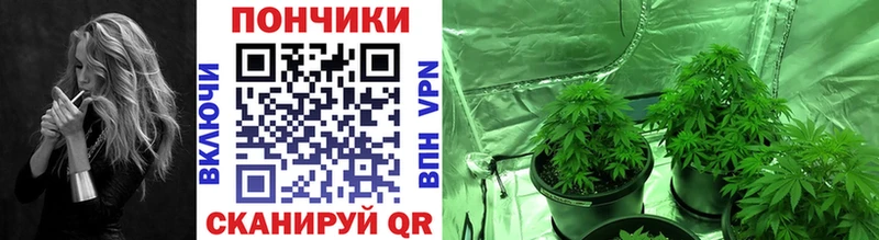 Шишки марихуана VHQ  закладка  Зверево 